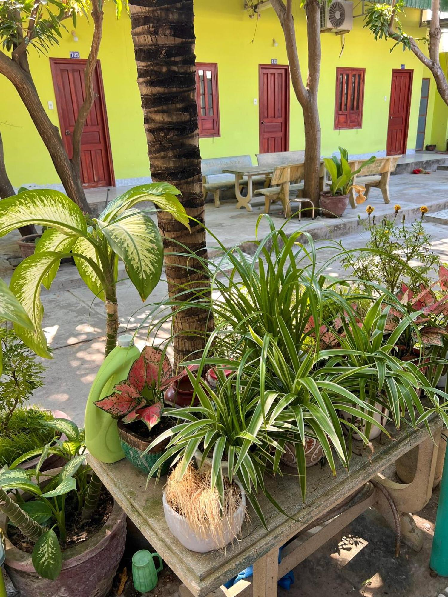 Duc Thao Guest House Mui Ne Esterno foto