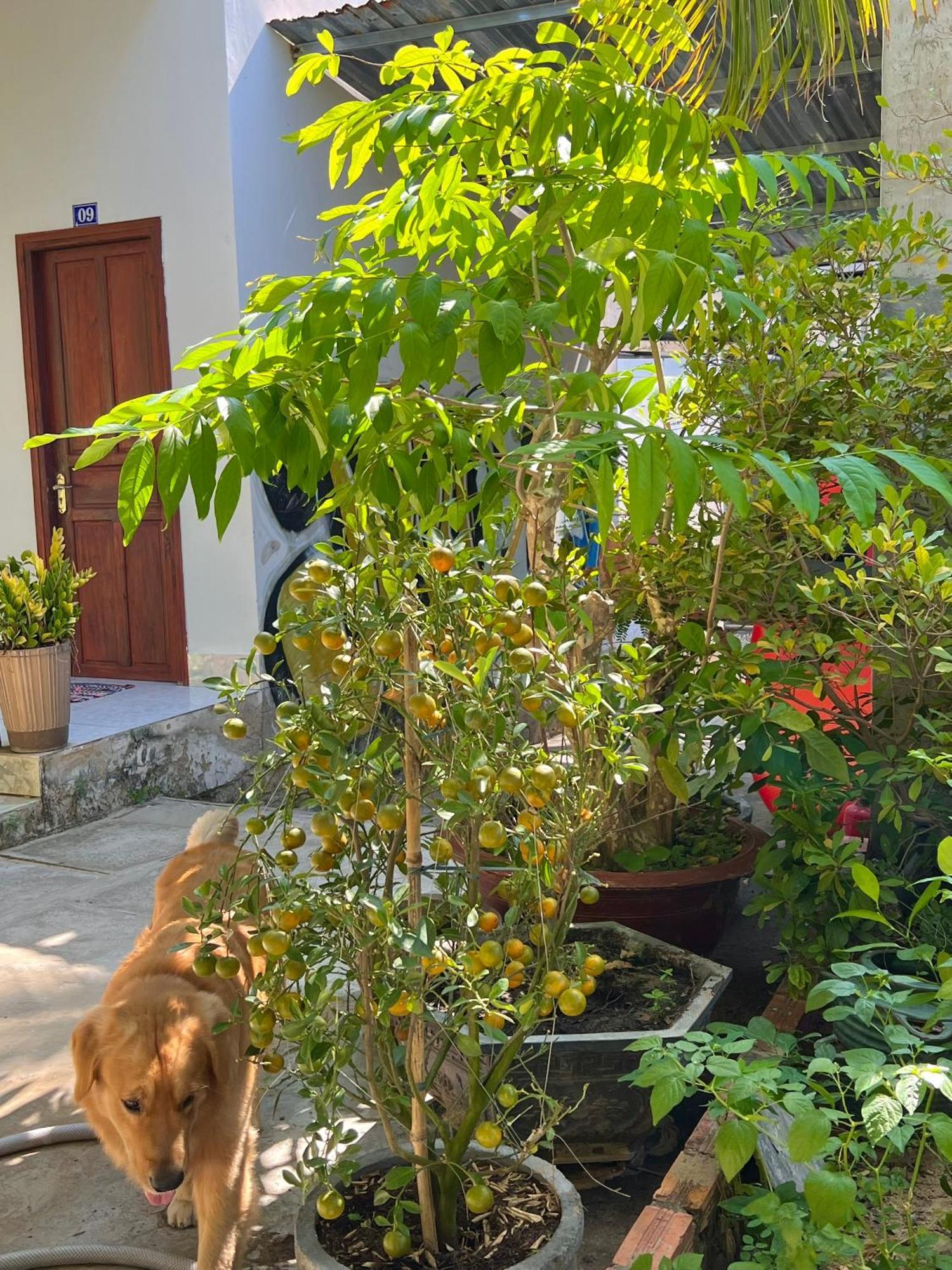 Duc Thao Guest House Mui Ne Esterno foto