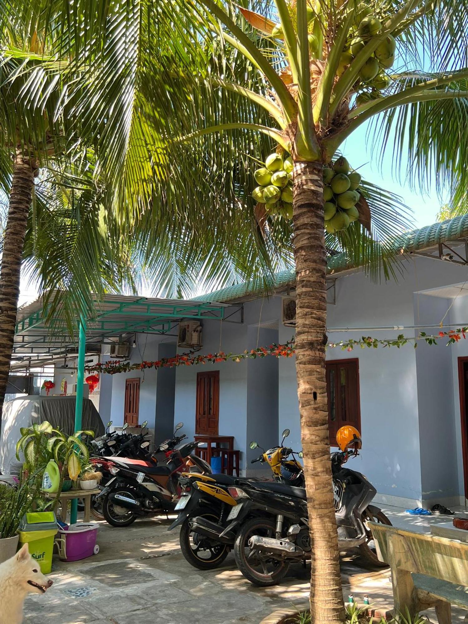 Duc Thao Guest House Mui Ne Esterno foto