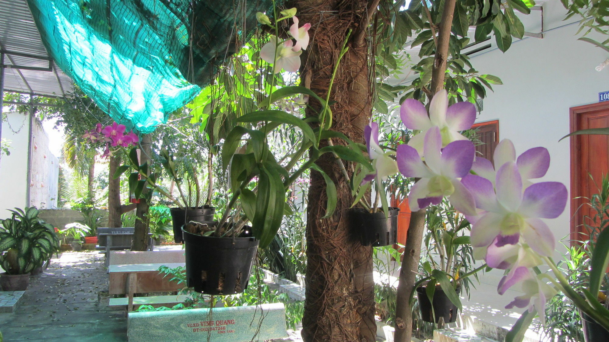 Duc Thao Guest House Mui Ne Esterno foto