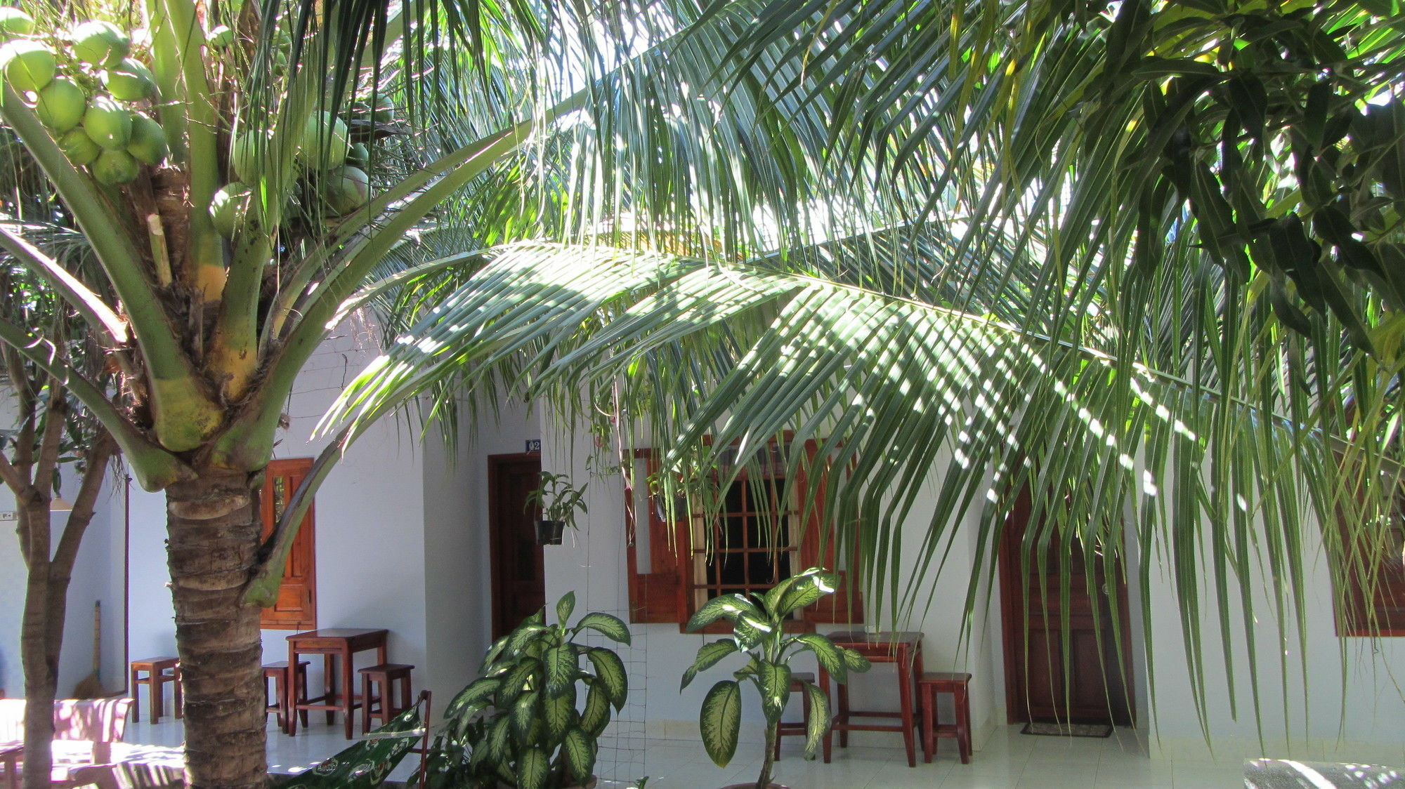 Duc Thao Guest House Mui Ne Esterno foto