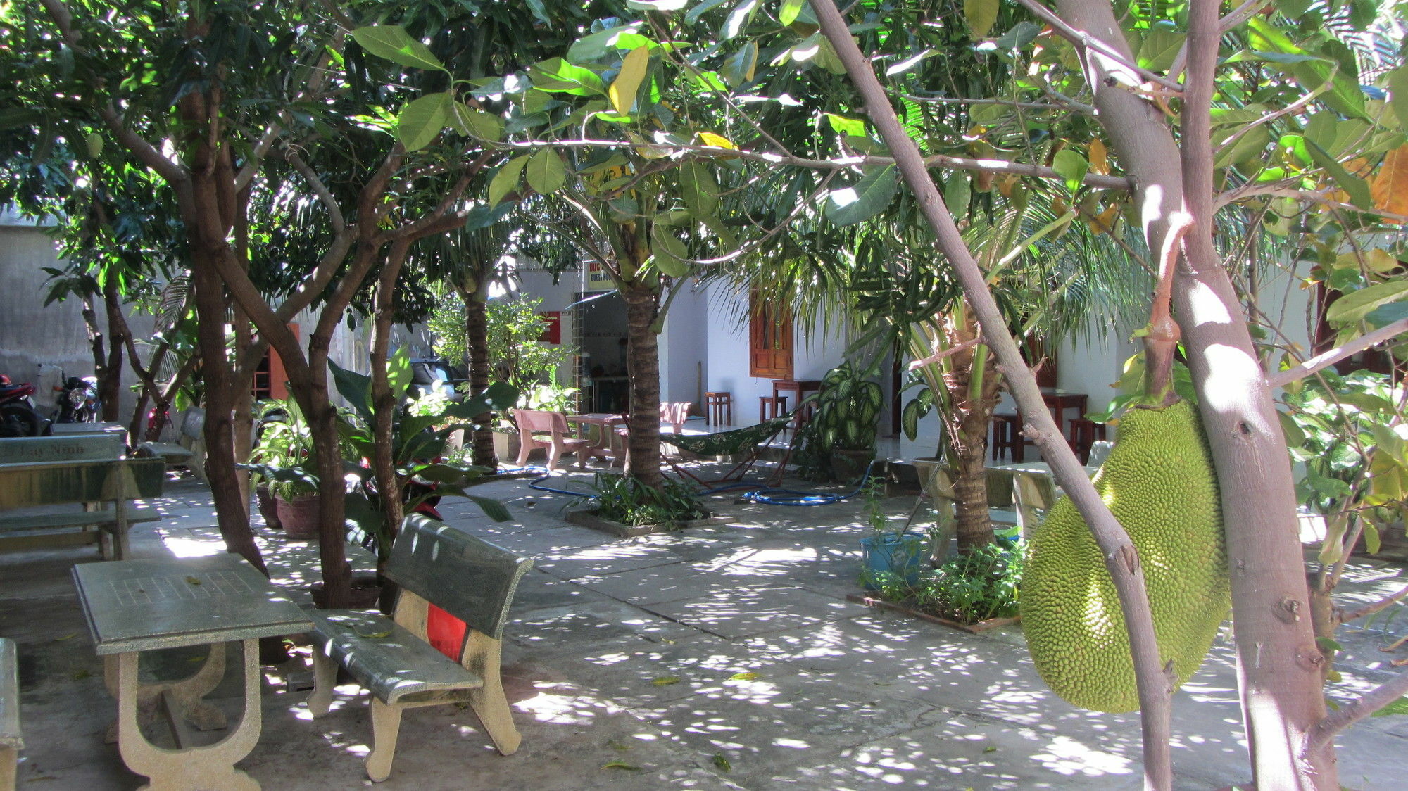 Duc Thao Guest House Mui Ne Esterno foto