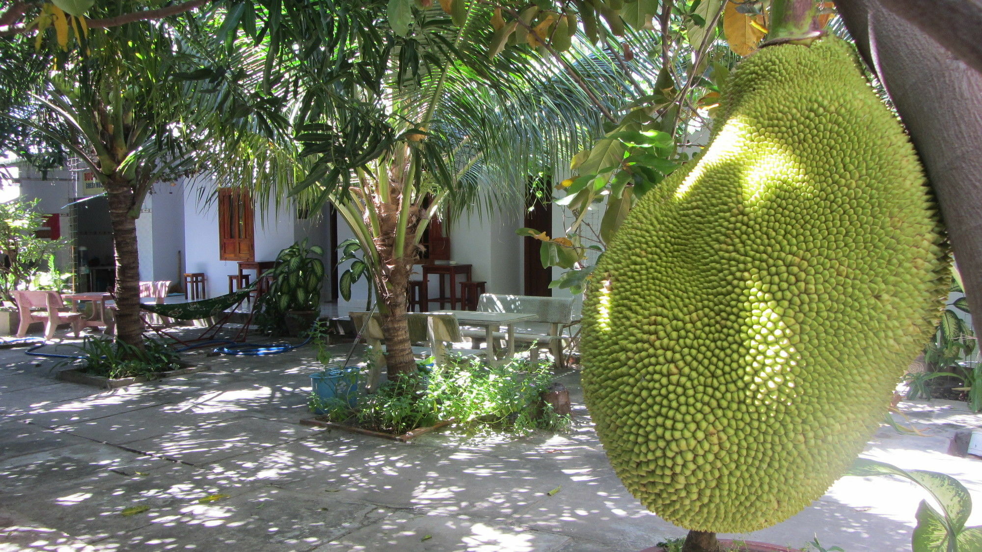 Duc Thao Guest House Mui Ne Esterno foto
